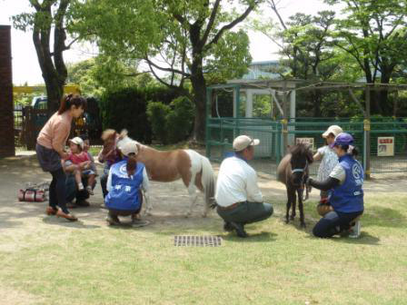 240519mokubaen_pony.jpg