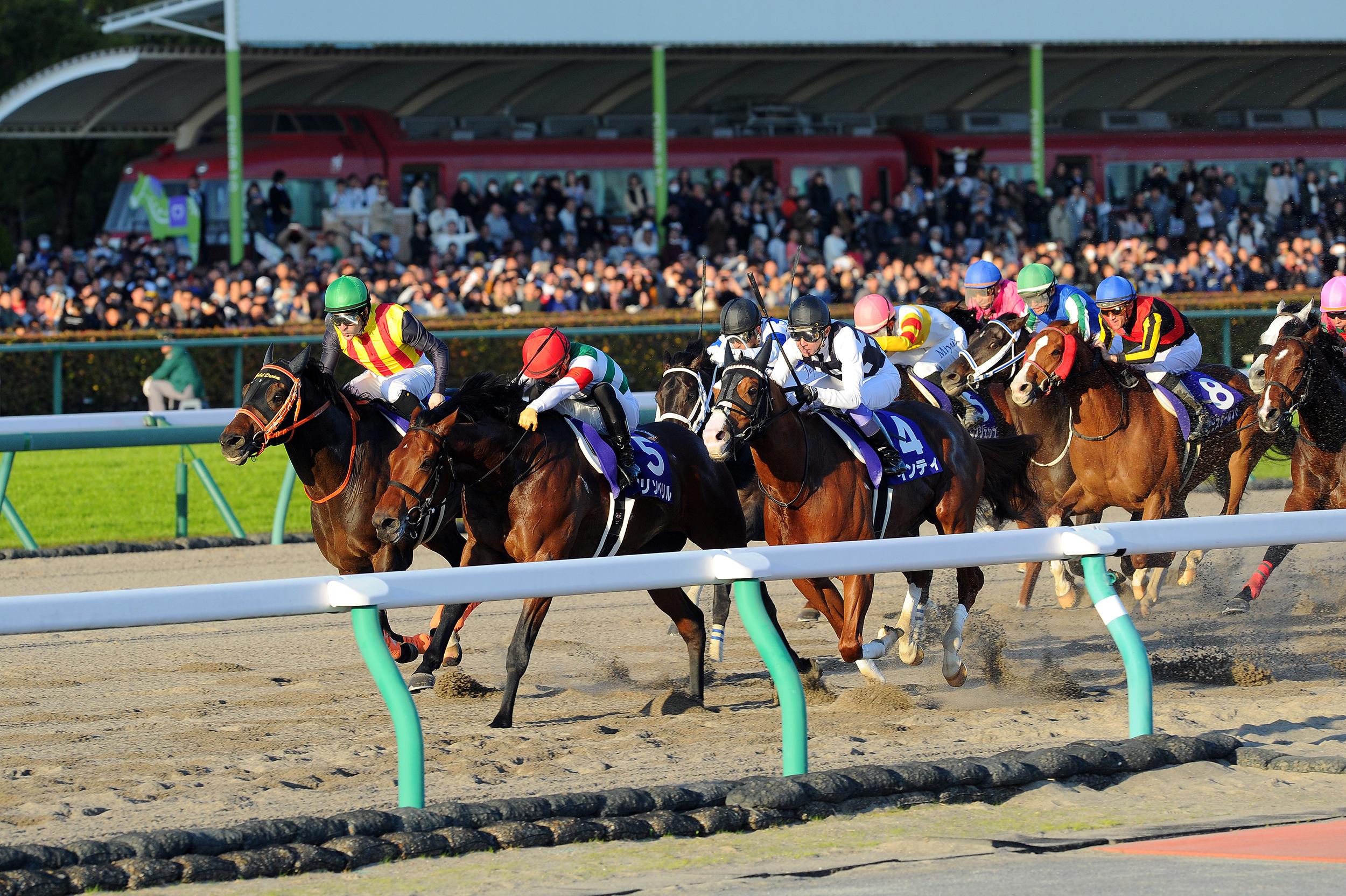 名古屋競馬株式会社(中京競馬場)