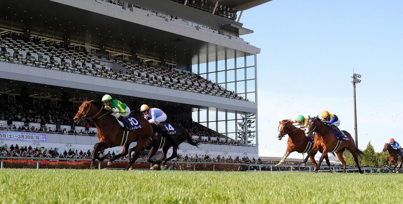 メインビジュアル③(26/2-)